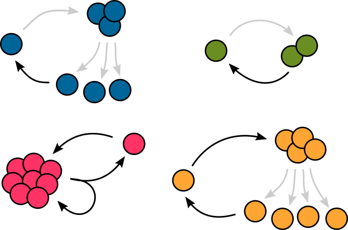 Life cycles